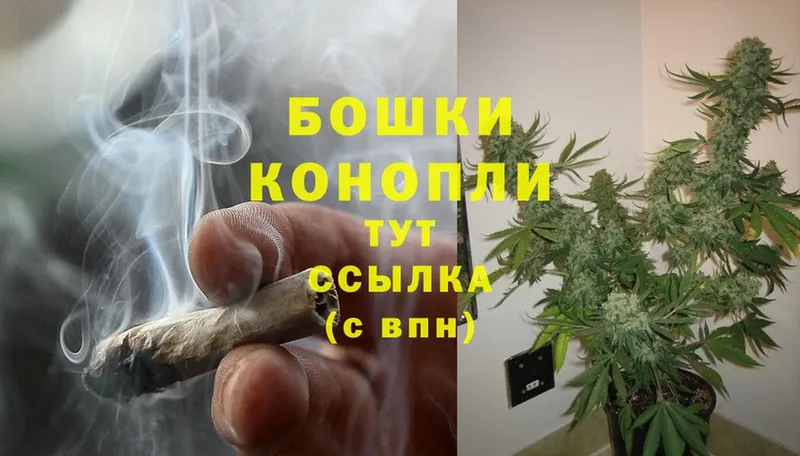 Марихуана OG Kush  mega онион  Мичуринск 